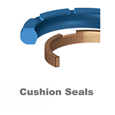 Cushion Seals