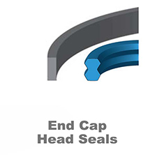 End Cap·Head